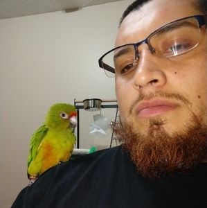 Meet your Posher, David